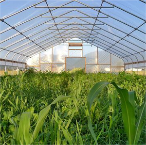 Kích thước lớn chi phí thấp đường hầm cao Nông Nghiệp Nhà kính cho cà chua phát triển Nhà Màu Xanh lá cây - Product Image 5