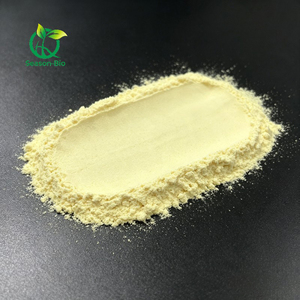 Extracto de Raíz de Kava <span class=keywords><strong>Kavakava</strong></span> al por Mayor, en Polvo, 10% 30% de Kavalactonas - Product Image 3