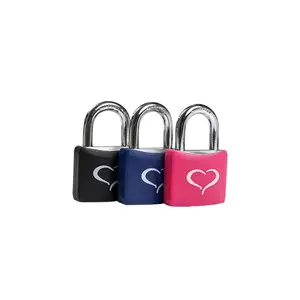 Aluminium Brass Cylinder Colorful Printing Lock Padlock For Cabinet Gym