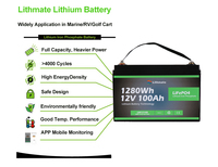 Allemagne US UK Canada Best Seller Litium Batteries 12v 100ah 200ah Lipo Batteries 12v 100ah