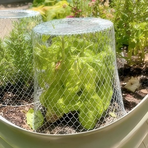 Couvertures de protection pour plantes de jardin, cage de protection pour légumes, couverture de protection pour plantes en métal réutilisable, fournitures et outils de jardinage - Product Image 1