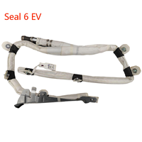 Módulo de Cortina Lateral Original OEM EWEA 5820700 800 para BYD Qin L EV Seal 6 EV, Piezas de Repuesto para Techo Interior