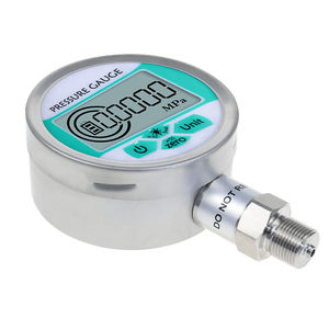 2024 뜨거운 판매 디지털 압력 게이지 미터 압력계 마스터 게이지 디지털 - Product Image 2