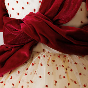 Nouvelle Robe de Princesse pour Bébé avec Voile en Tulle à Pois pour Fille, Idéale pour les Soirées d'<span class=keywords><strong>Anniversaire</strong></span> de 1 An et les Cérémonies, Robe Lavée pour Petites Filles - Product Image 5