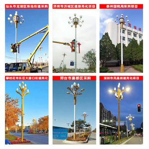 Lanterne LED chinoise Juming à mât haut 8m/6m 30W pour éclairage de sites touristiques et de places publiques - Product Image 4