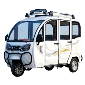 Triciclo Eléctrico Multiusos Abierto, Motor <span class=keywords><strong>de</strong></span> 1000W, 400kg, Certificado EEC, para <span class=keywords><strong>Transporte</strong></span> <span class=keywords><strong>de</strong></span> <span class=keywords><strong>Pasajeros</strong></span>, Patrullaje y Servicios <span class=keywords><strong>de</strong></span> Entrega - Product Image 1