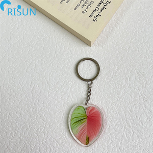 Móc Khóa Acrylic Chất Lượng Cao Giá Rẻ Bán Buôn Móc Khóa Hình Lá Cọ Monstera Màu Xanh Lá Cây Chìa Khóa Acrylic Nhựa Cây Trồng Logo Tùy Chỉnh - Product Image 4