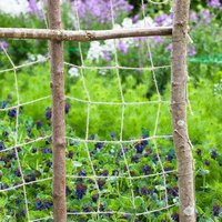 Fibrilia Mesh Treillis Filet Support Plantes Corde Plante Stand Treillis Jute Chanvre Net, Filet De Jute