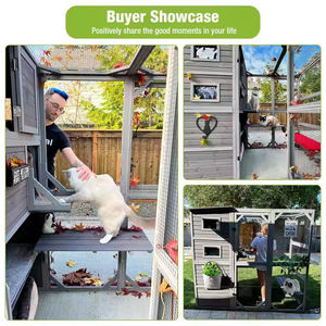 Venta al por mayor gran espacio jaula para mascotas de madera al aire libre impermeable gato Villa casa con Gato rascador jaula para gatos - Product Image 6