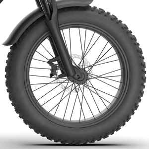 48V 500W kỹ thuật số không chổi than <span class=keywords><strong>7</strong></span> tốc độ 15ah pin lithium 20-inch Hợp kim nhôm chất béo lốp xe đạp điện Thành phố với đĩa phanh Ebike - Product Image 3