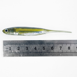 Selco Isca Macia <span class=keywords><strong>Drop</strong></span> <span class=keywords><strong>Shot</strong></span> Rigs V Tail 8cm PVC Soft Fishing Lures Soft Swim Bait Shad Seabass River - Product Image 3