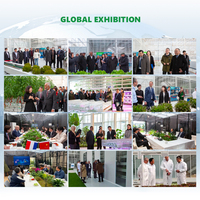 Serre en verre Venlo de 1000 m2 fabriquée en Chine, système hydroponique, serres agricoles en verre, ensemble complet à vendre