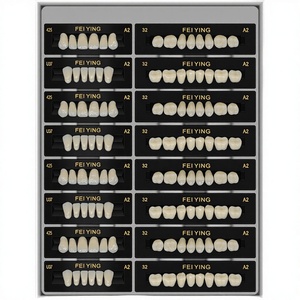 <span class=keywords><strong>CAIYU</strong></span> - Juego de 28 Dientes Flexibles de Resina Dental Manual para Prótesis Completa, Acrílicos, con Certificación CE - Product Image 4