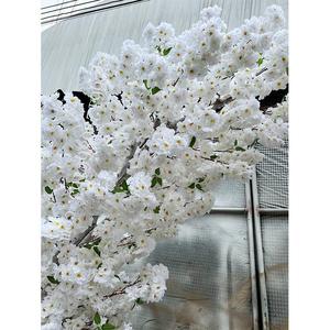 Arco de Flores de Cerezo y Melocotón Simulado, Decoración de Boda de Tres y Cuatro Puntas con Flores Artificiales Falsas Encriptadas - Product Image 2