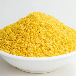 Cheap Price Chinese Natural Yellow millet little hulled Millet grain on sale