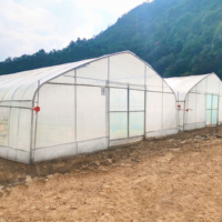 Serre Agricole Commerciale Industrielle Tunnel Haut Monopente en Plastique pour Tomates