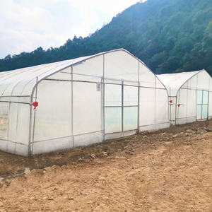 <span class=keywords><strong>Serre</strong></span> Agricole Commerciale Industrielle Tunnel Haut Monopente en Plastique pour Tomates - Product Image 5