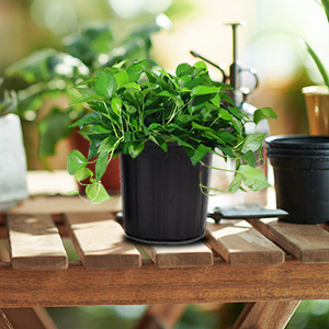 Vaso <span class=keywords><strong>per</strong></span> <span class=keywords><strong>semi</strong></span> vaso <span class=keywords><strong>per</strong></span> <span class=keywords><strong>fiori</strong></span> vasi <span class=keywords><strong>per</strong></span> vivaio in plastica <span class=keywords><strong>da</strong></span> gallone - Product Image 5