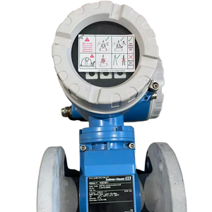 Débitmètre E+H 50P50-AA0A1AA0AAAW, neuf, authentique, garantie d'un an - Product Image 1