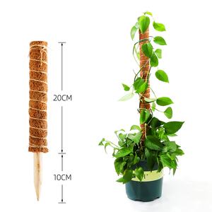 Mecool — perche de <span class=keywords><strong>Support</strong></span> de plante grimpante, accessoire de jardin intérieur <span class=keywords><strong>pour</strong></span> plantes de jardin, 17 pouces - Product Image 5