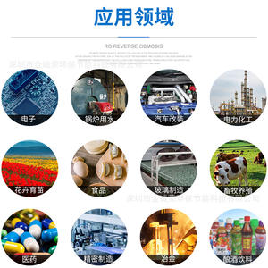 Sistema de Tratamiento de Agua Ultra Pura Industrial, Ósmosis Inversa de Doble Etapa, Agua Purificada a Gran Escala, EDI Electrolítico, Jin Chengrong, 5 Años - Product Image 3