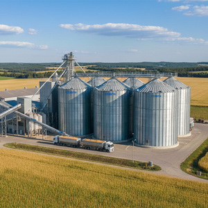 Silos de Almacenamiento de Granos de Acero Personalizados de 100-5000 Toneladas, Silos para Harina de Soja, Maíz, Trigo, Cebada y Arroz, para Granjas y Molinos - Product Image 3