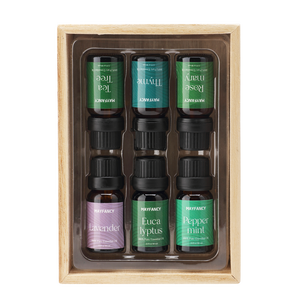 10ml Private Label <span class=keywords><strong>timo</strong></span> 100% puro organico <span class=keywords><strong>olio</strong></span> essenziale Multi-uso <span class=keywords><strong>capelli</strong></span> corpo <span class=keywords><strong>olio</strong></span> all'ingrosso nuovo naturale - Product Image 2