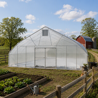 Serre tunnel agricole à simple travée économique avec système d'irrigation goutte à goutte pour légumes