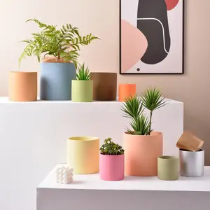 New Design Indoor Ceramic Plant Pots Succulent Planter Ceramics Flower Pots With Drainage