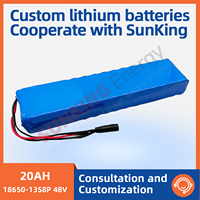 High Capacity 48V20AH Li-ion Battery for Food Delivery Bike Solar Power System Electric Scooter Power Pack