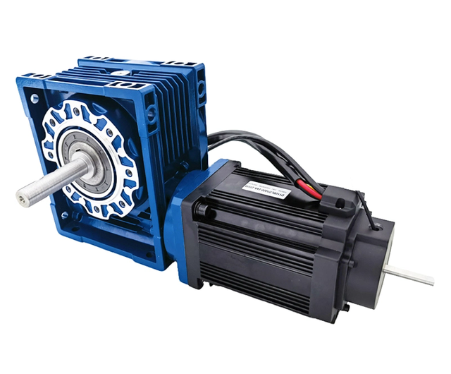 BLDC Motor 24V 48V DC Brushless Motor with RV50 Worm Gear Box Machine