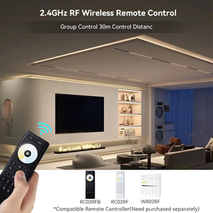 DC12V 24V CCT Led Tuya WIFI LED Control remoto Soporte Alexa Asistencia de Google - Product Image 5