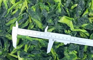 La mejor calidad de flor de colza congelada para ventas calientes - Product Image 6