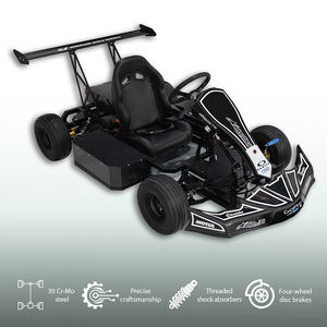 Nouveau design de kart électrique de course commercial pour adultes et adolescents, idéal pour les parcs d'attractions et les jeux de plein air - Product Image 3