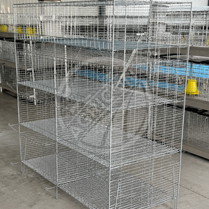Nuevo Jaula de Cría Tipo H Galvanizada en Caliente de 3-4 Niveles, Equipo Automático para Aves de Corral, para <span class=keywords><strong>Pollitos</strong></span> de un Día, Cría de 1 a 110 Días - Product Image 1