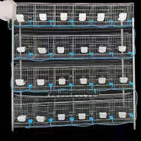 Maison d'Élevage de Lapins avec Nichoir Attenant et Cages à Lapins Nouveau Produit Fourni 12 Cages à Lapins Tubes Métalliques Philippines 1 Ensemble