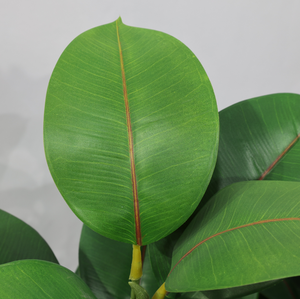 Plante artificielle réaliste en chêne vert d'intérieur, arbre en plastique vert, <span class=keywords><strong>ficus</strong></span> tropical - Product Image 5