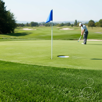 Tapis de golf haute densité en SBR de 40 mm, écologique, durable et de haute qualité pour l'extérieur