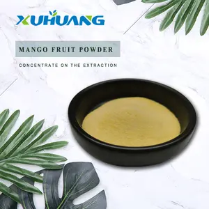High Quality Freeze Dried No Additives Mango Fruit Juice Powder