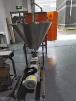 Machine automatique de remplissage et de scellage de sachets en acier inoxydable pour pâte de mayonnaise, sachets à bec verseur, film, confiture, sauce ketchup 5kg, avec moteur