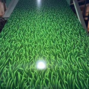 고품질 미국 시험 및 재료 학회 (ASTM) 박막 컬러 코팅 PPGI 사전 도장 아연 도금 강철 코일 - Product Image 2