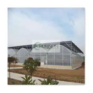 Bestseller globale Outdoor Frame Structure Shade Net agricoltura fotovoltaico Solar Glass Film Multispan serra