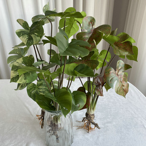 Suzume Ii - Planta Artificial de Plástico Monstera Deliciosa de 12 Cabezas, 55 cm, Roja y Verde, Decoración de Interiores para el Hogar, Bonsái - Product Image 3