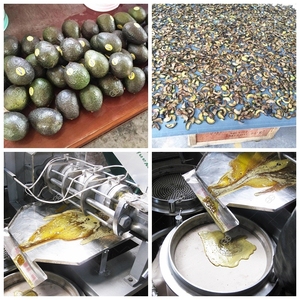 Trung Quốc Bán Chạy Nhất 2022 Tự Động Hướng Dương Máy Ép Dầu Với Bộ Lọc Dầu Với Nhau - Product Image 4