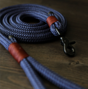 Productos Más Vendidos <span class=keywords><strong>2026</strong></span>, Dispensador de Bolsas para Excremento de Perro Azul de Moda, Correas de Poliéster para Mascotas, Correa para Perro - Product Image 5