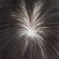 Prothèse capillaire pour homme en cheveux humains gris mélangés, base ultra-fine, 100% cheveux indiens, perruque de remplacement pour hommes