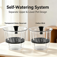 Pot de fleurs auto-arrosant en plastique transparent haute transparence, pot circulaire minimaliste pour plantes succulentes et fleurs, décoration de bureau