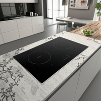 Sensor Touch Double 2 Brûleurs Céramique-Verre Petite Cuisinière À Induction Double Cuisinière À Induction Cuisinière À Induction Portable