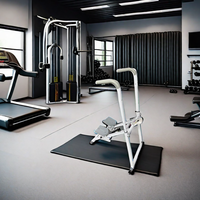 Vente en gros usine : Machine d'escalade verticale d'intérieur pour entraînement, Mur d'escalade, Appareil d'escalade pour exercice