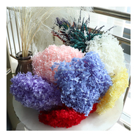 Grande tête de fleur d'hortensia blanc, hortensia préservé avec tige, décoration de mariage, fleurs séchées préservées pour toile de fond